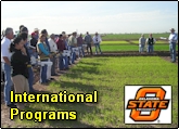 International Programs in Sensor Based Nitrogen Management