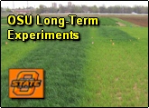 Long Term Soil Science Fertilizer Experiments