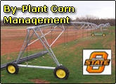 By plant corn nitrogen management for improved nitrogen use efficiency