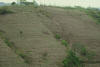 residue, soil conservation, Honduras