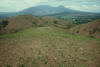 hand planted corn, subsitence agriculture, El Salvador