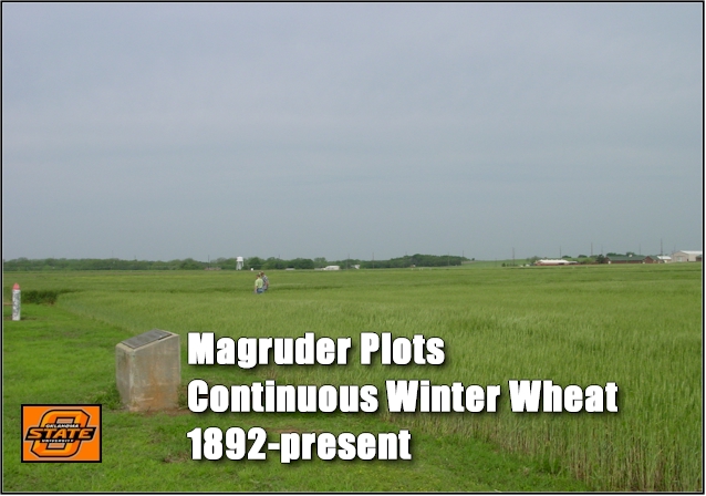 Magruder Plots, Oldest Long-Term Winter Wheat Experiment in the World