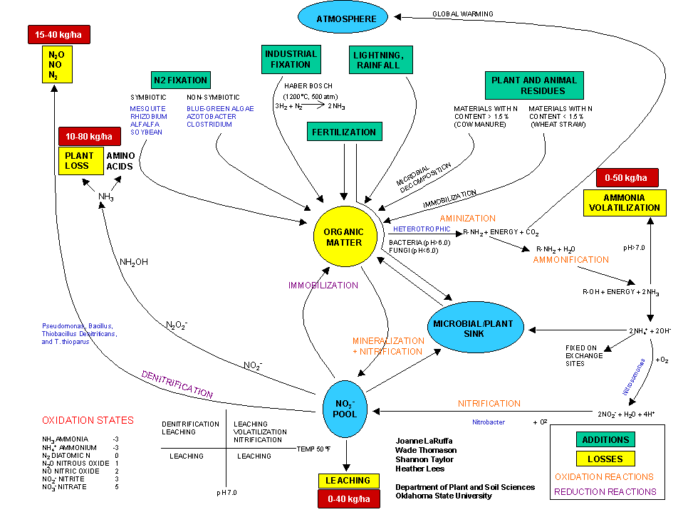 Comprehensive Nitrogen Cycle in Agricultural Production