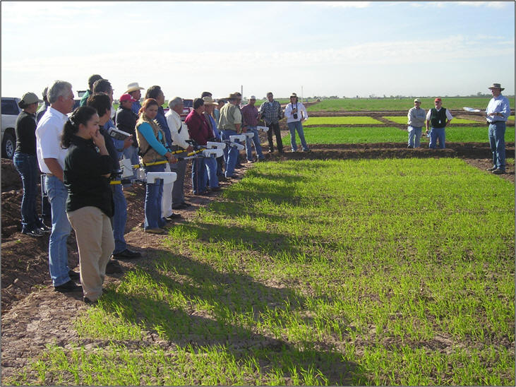 GreenSeeker training, Ciudad Obregon