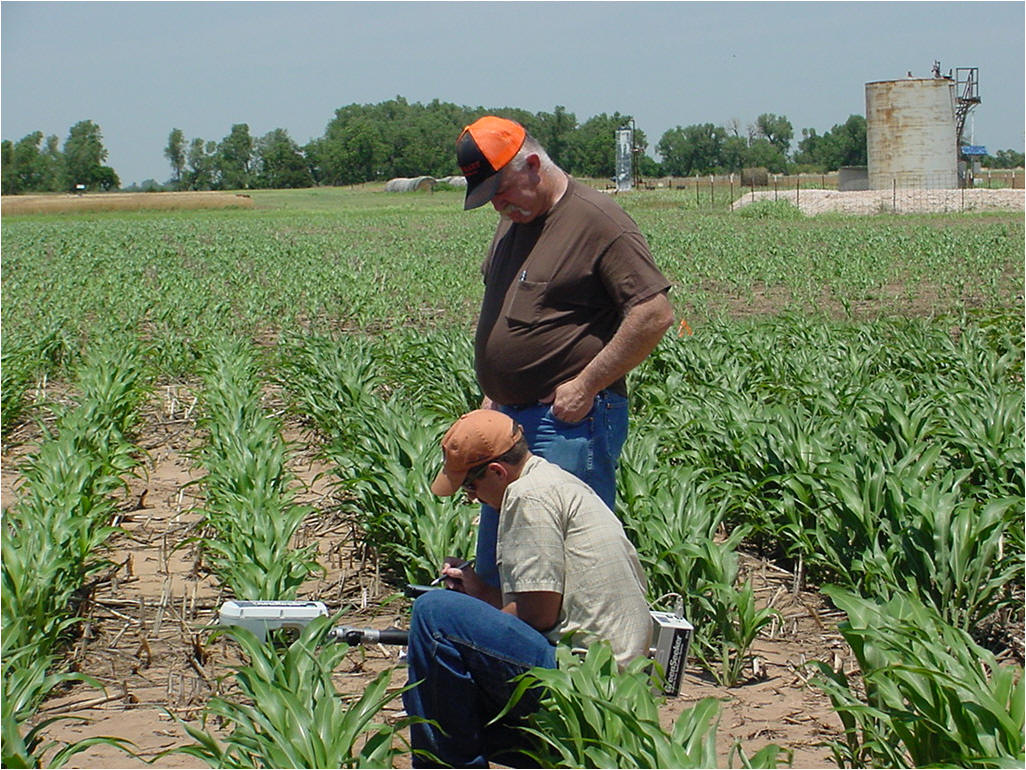 GreenSeeker Sensor in Sorghum