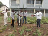 Ghana, Hand Planter