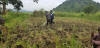 Uganda Mandela Fellows OSU Hand Planter