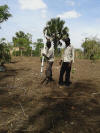 Uganda use of the Greenseeder Hand Planter