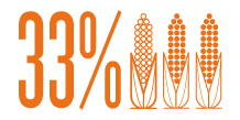 33% of wasted corn plants could be saved with vacuum planting.