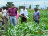 Zimbabwe Greenseeker training, Cody Daft