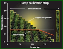 Configuration of the RAMP or Ramp Calibration Strips for Improved N Management in corn and wheat