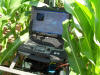 sensor for corn stalk diameter 