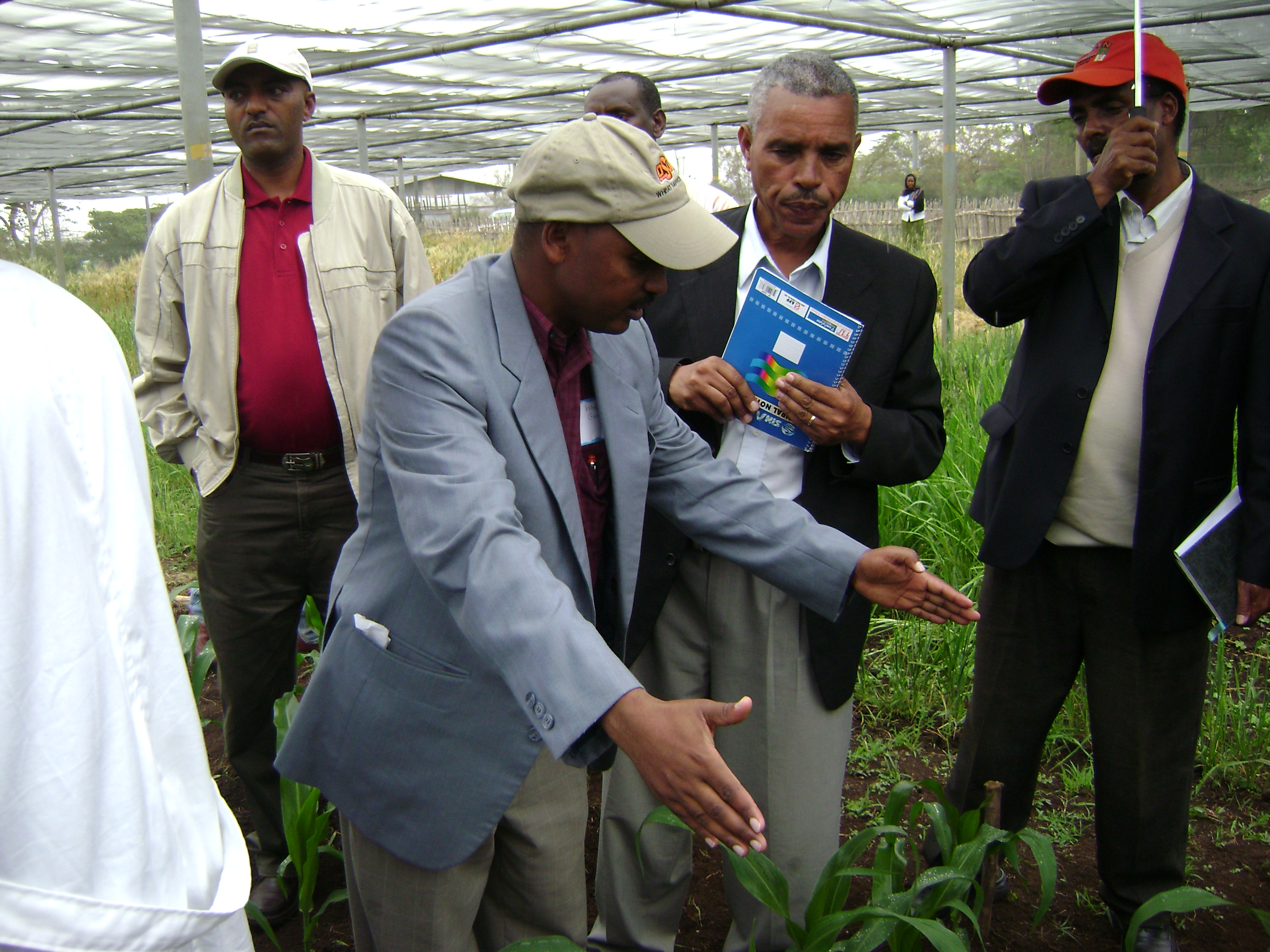 GreenSeeker Sensor Training, Ethiopia