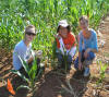 Anne and Kate in the field, corn research plots
